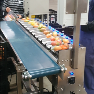 Pesadora por combinación PL1201 — 12 cabezales