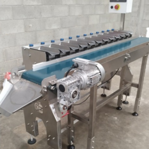 Pesadora por combinación PL602 — 10 cabezales