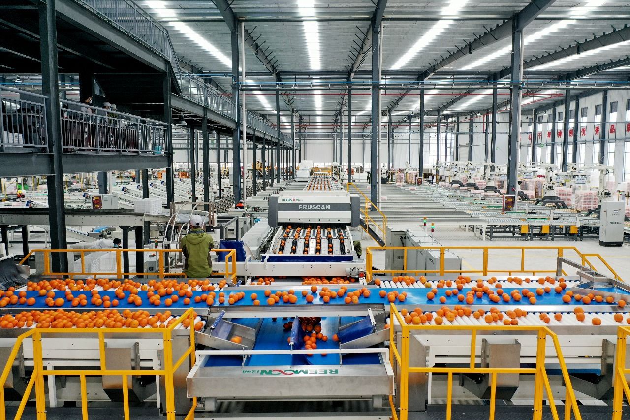 Maquinaria REEMOON de clasificación electrónica — EUTECH SAS Colombia