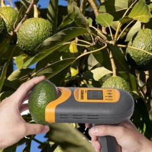 Aguacate H-100C
